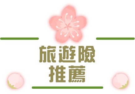 旅遊險推薦