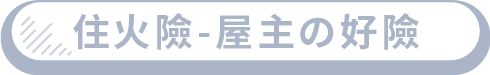旅遊險