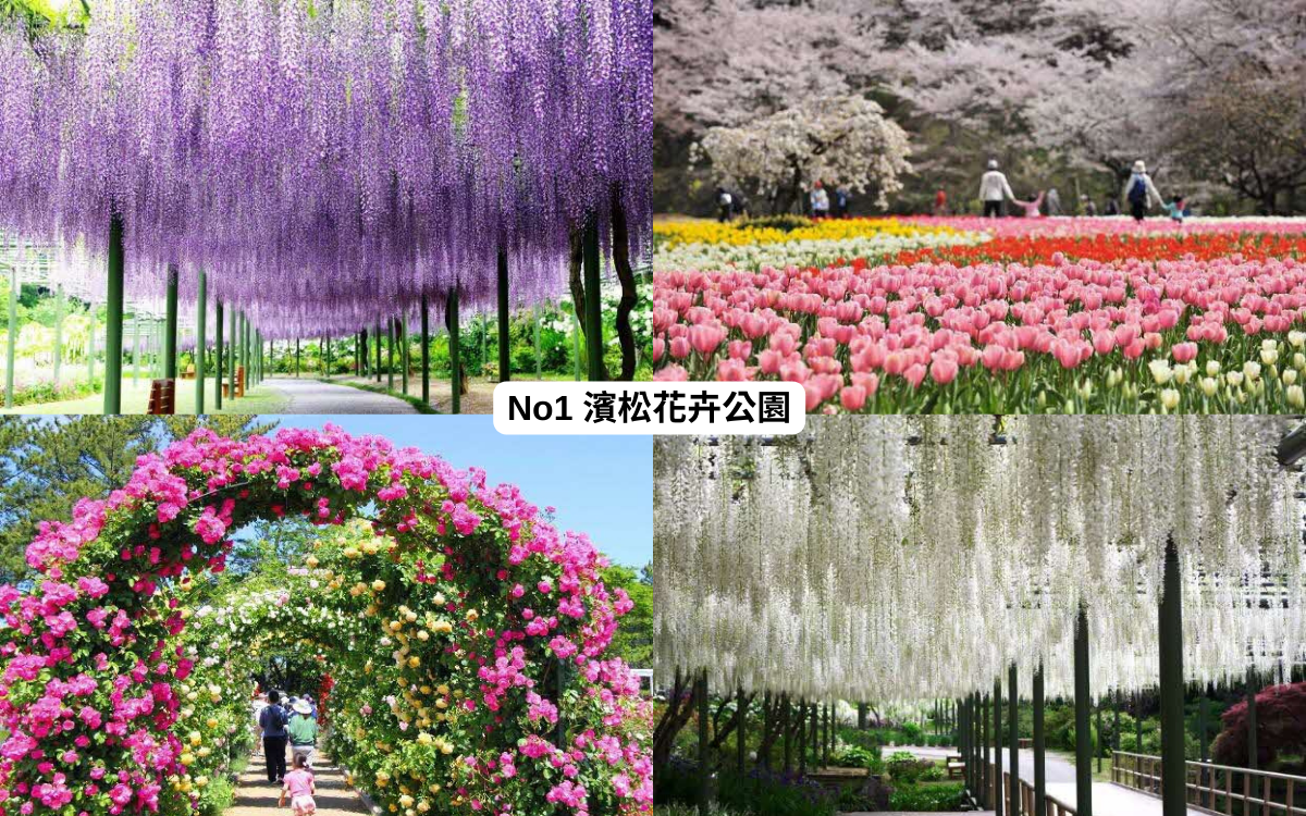 日本濱松花卉公園
